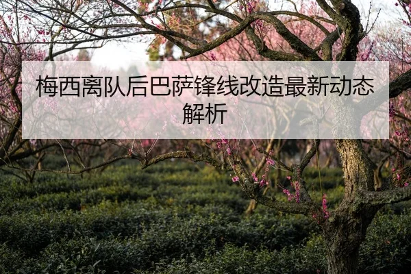 梅西离队后巴萨锋线改造最新动态解析